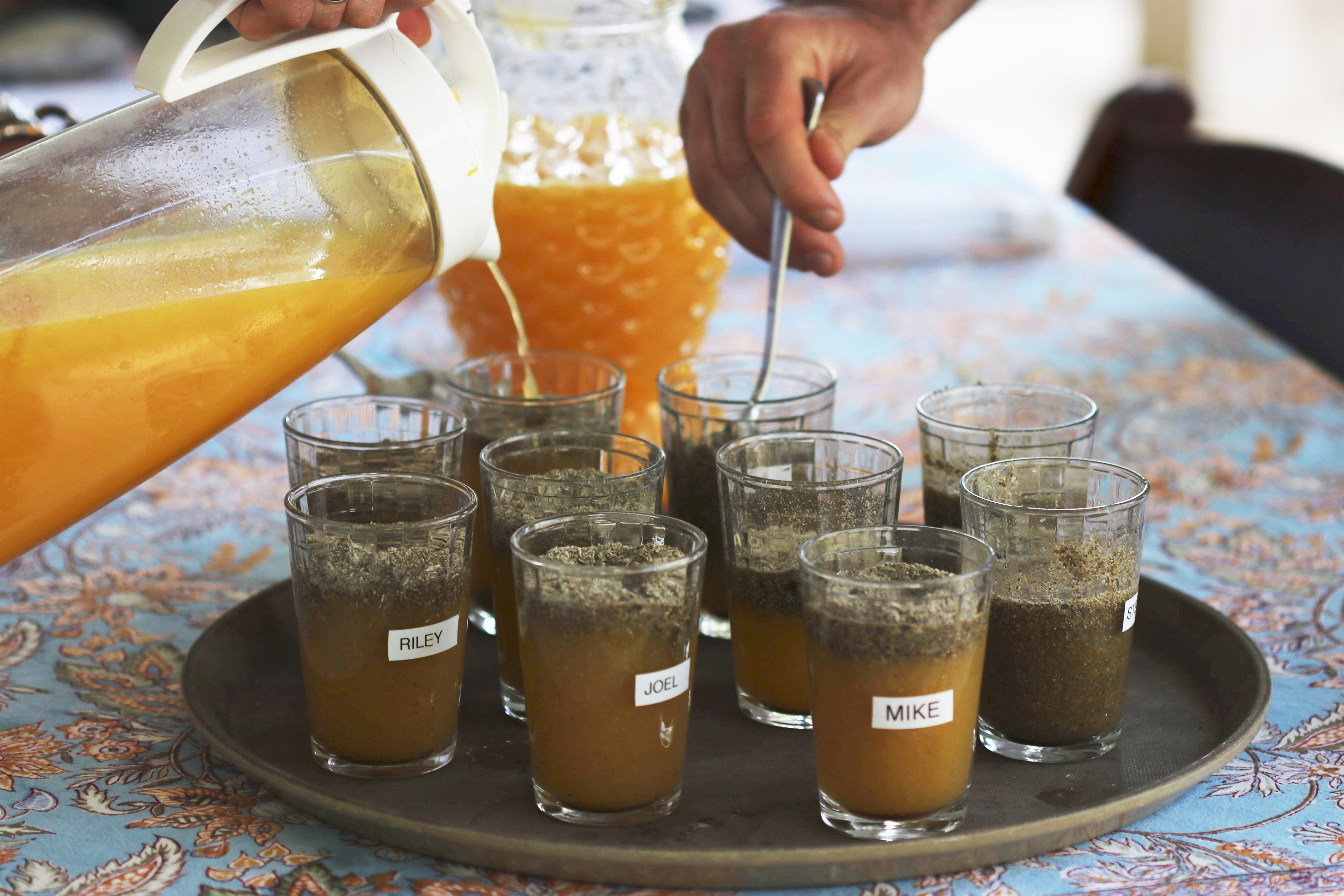 A photo of a tray of glasses filled with dried psychedelic mushrooms and orange juice.