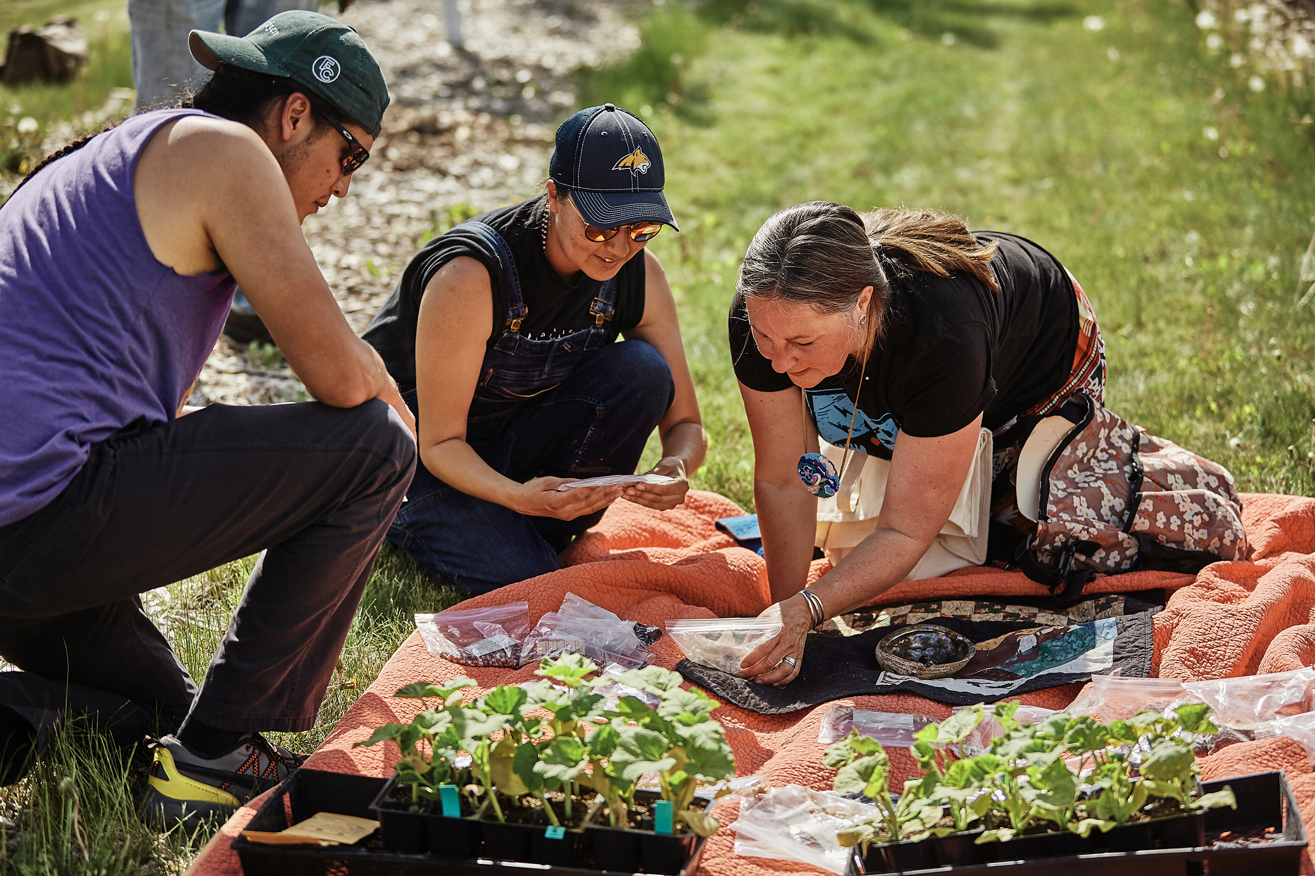 Two women and one man lean over an orange blanket laid in the grass beside a garden, looking at bags of seeds