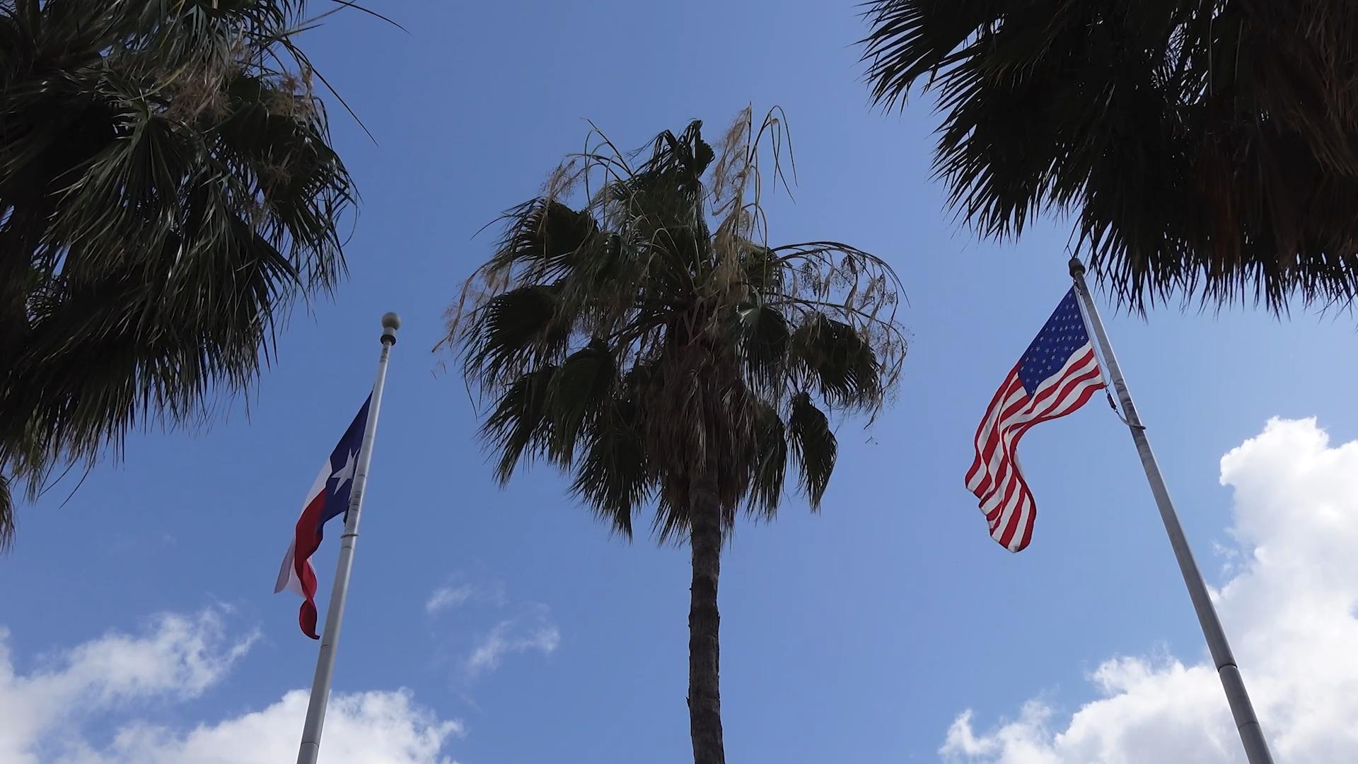 A photo of palm trees in the Rio Grande Valley with a Texas flag on the left and the United States flag on the right.